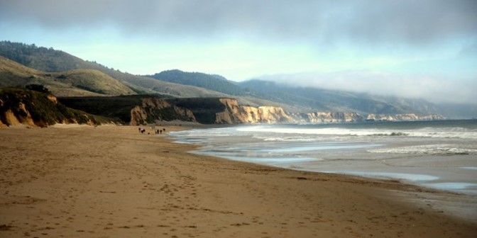 limantour beach