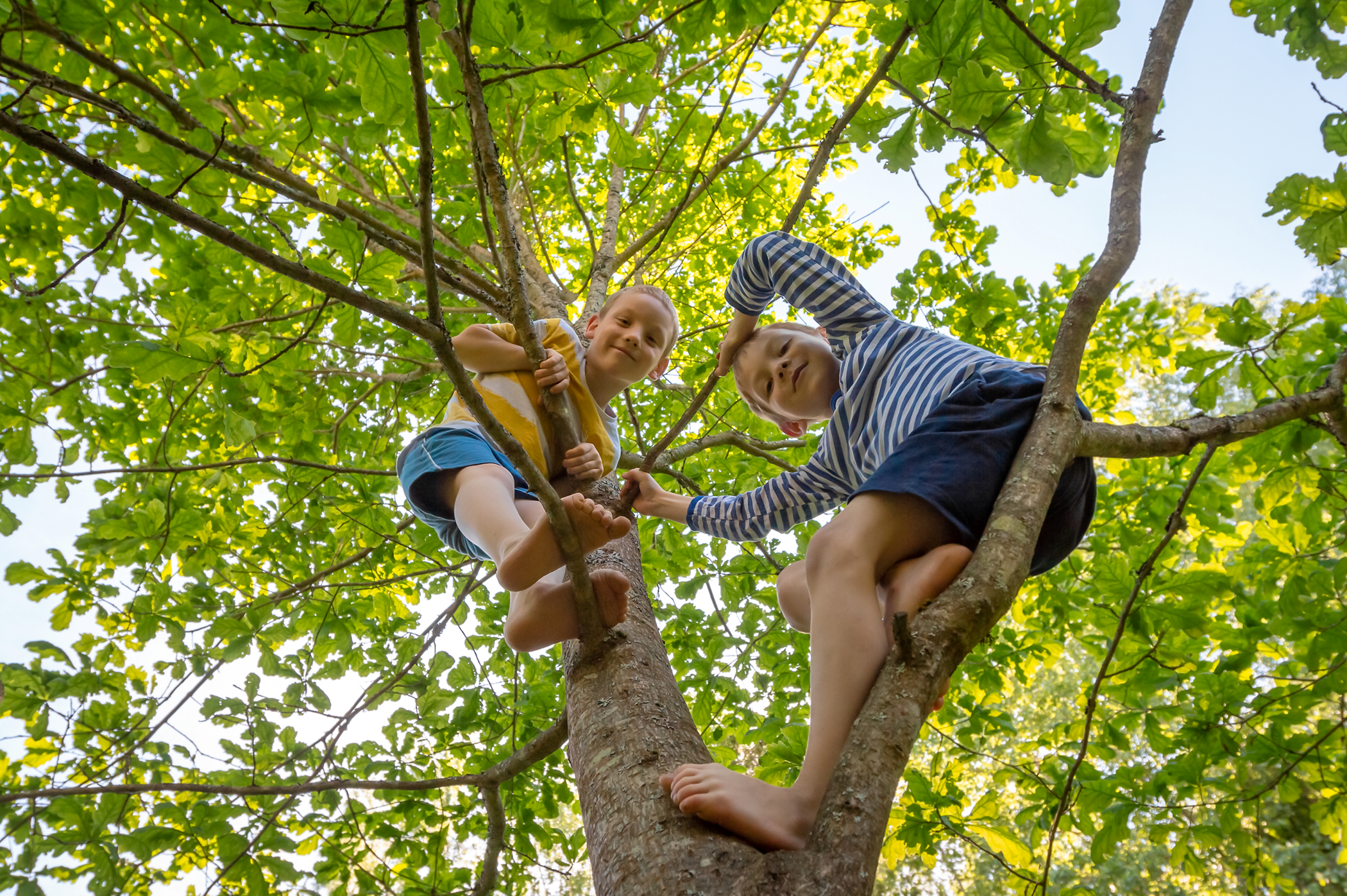 young boys playing in nature