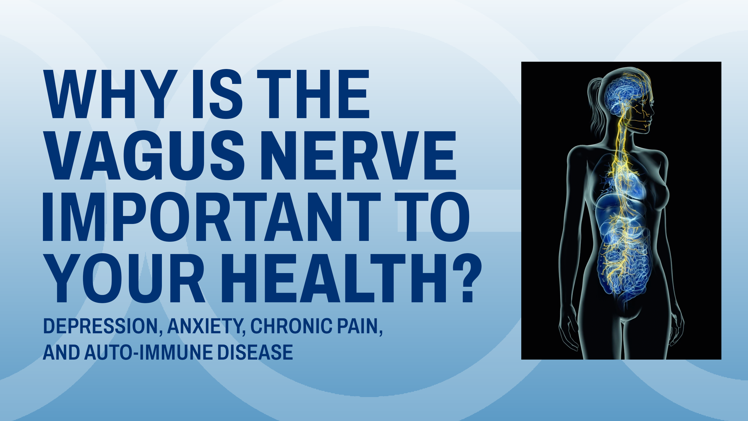 why is the vagus nerve important to your health?