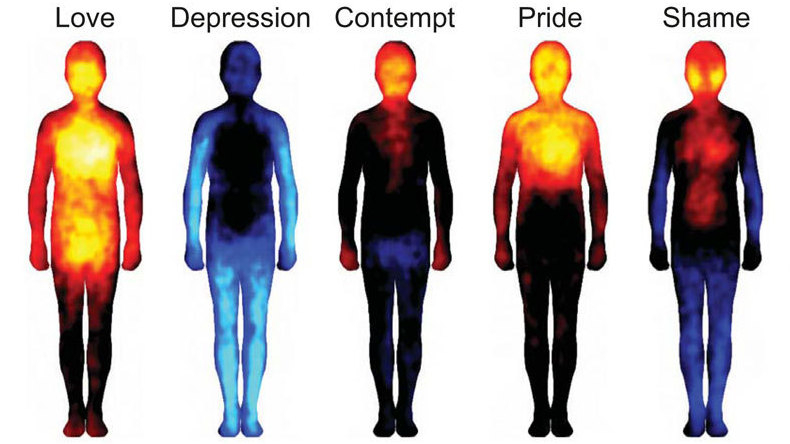 Map of Body Sensations